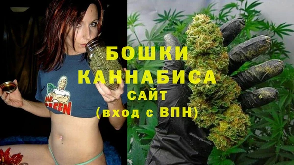 дмт Арсеньев