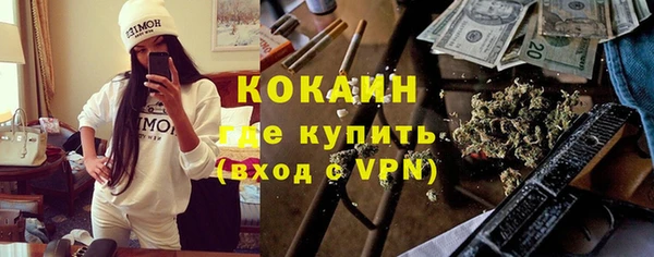 дмт Арсеньев