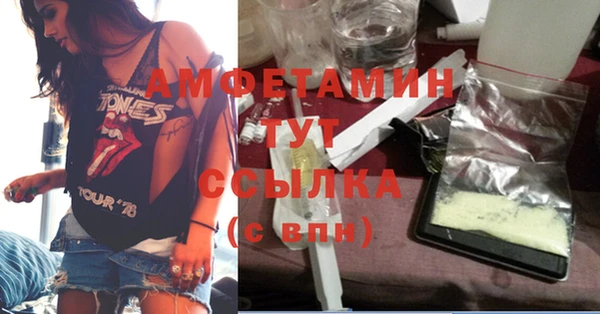 дмт Арсеньев