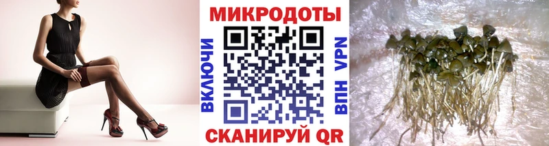 omg   Покровск  Галлюциногенные грибы ЛСД 